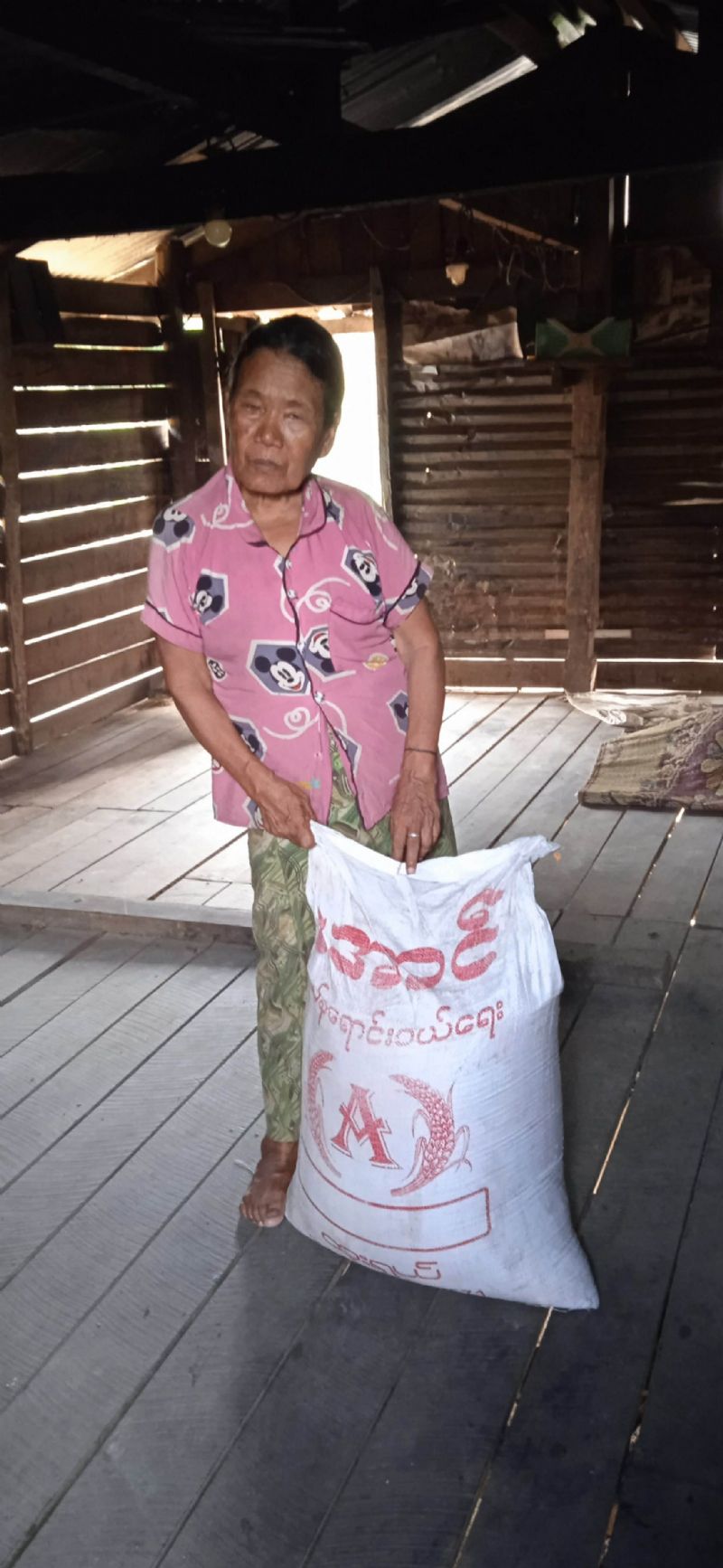 Myanmar Support June 2026